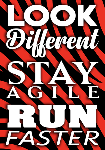 Business speaker session for Look different, stay agile, run faster